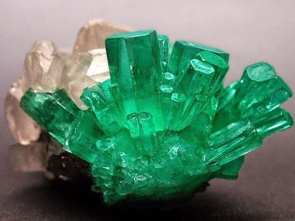 Ngọc lục bảo - khoáng vật quý nhất thuộc nhóm beryl