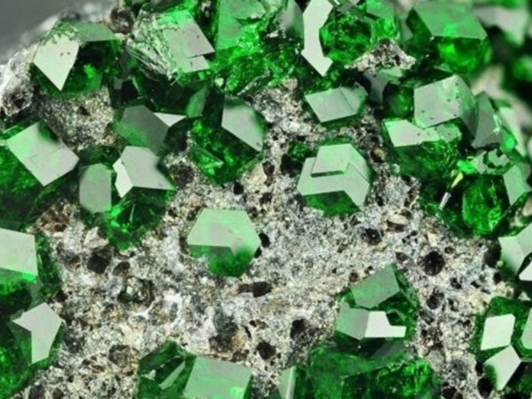 Nhiều mỏ Emerald được tìm thấy gần biển đỏ