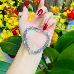 vòng tay đá Labradorite xà của mix charm